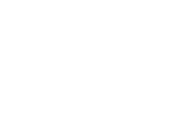 footer_BHM-CogPaths-Logo-wht